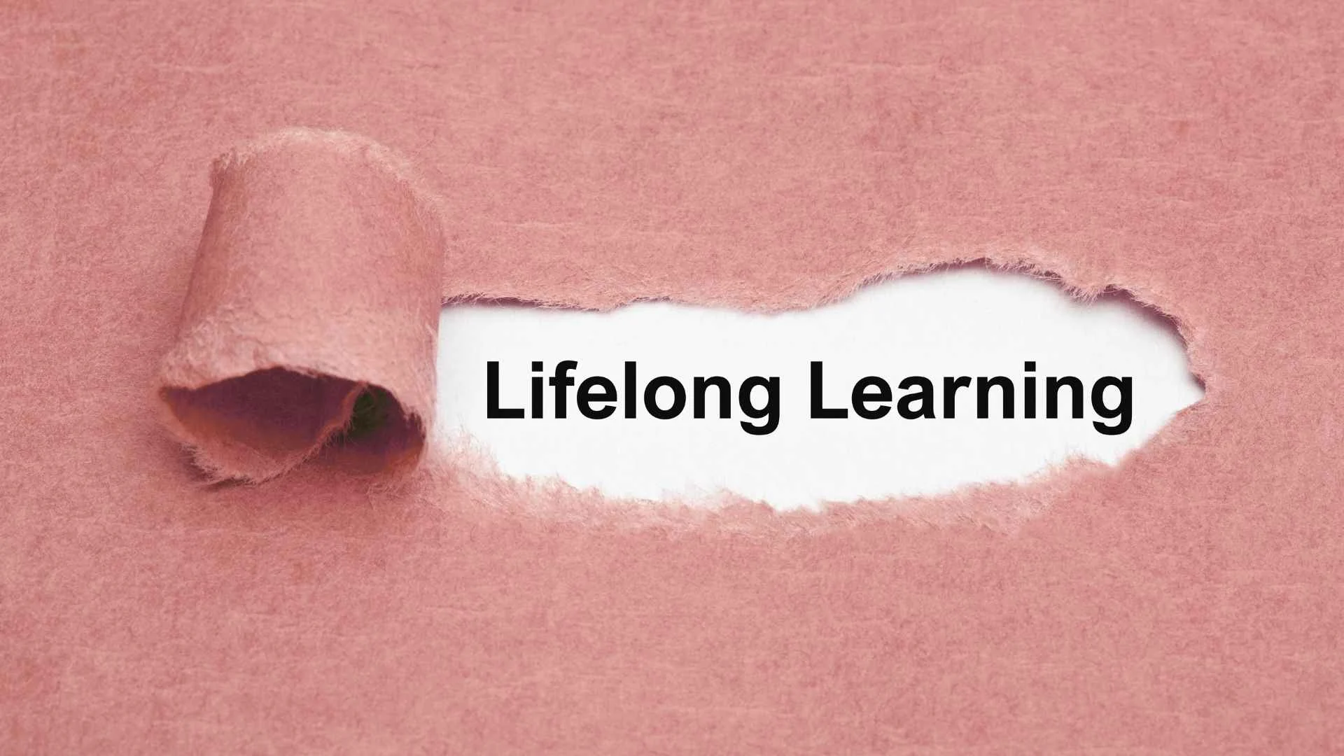 The Power of Curiosity: Why Lifelong Learning Fuels Wisdom
