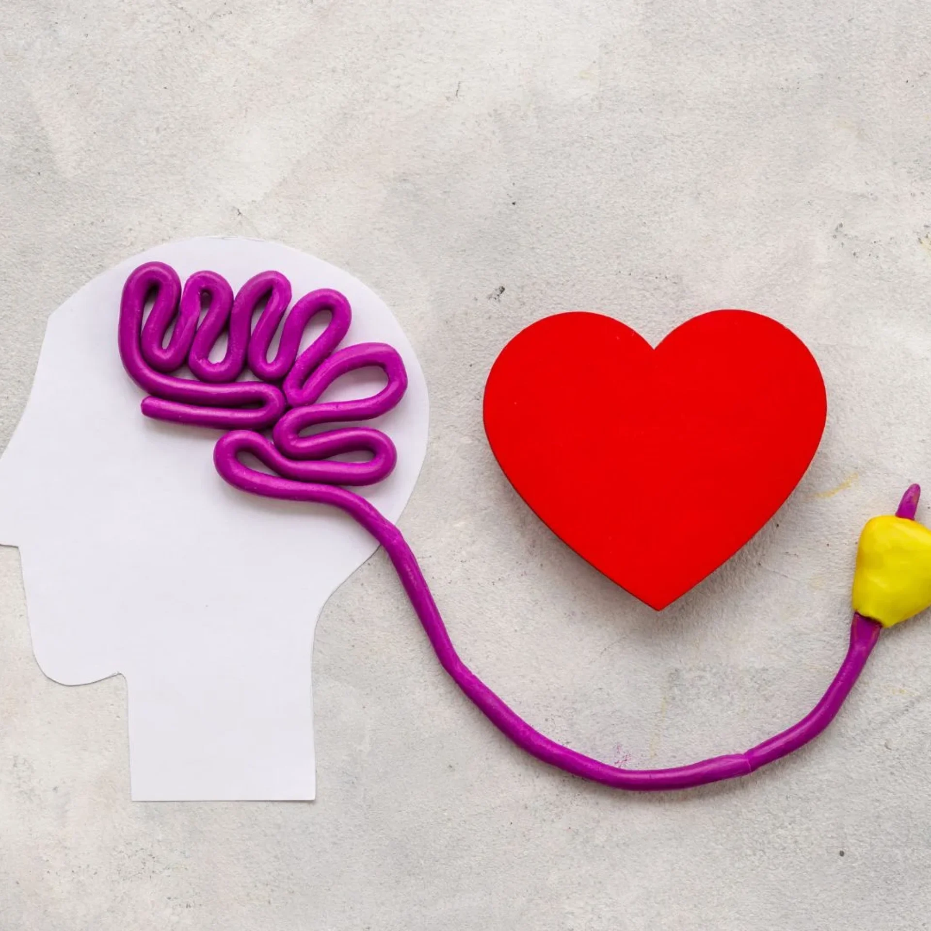 Emotional discipline leadership and women leadership mindset demonstrated through leadership emotional control by a focused and steady woman leader in a professional setting