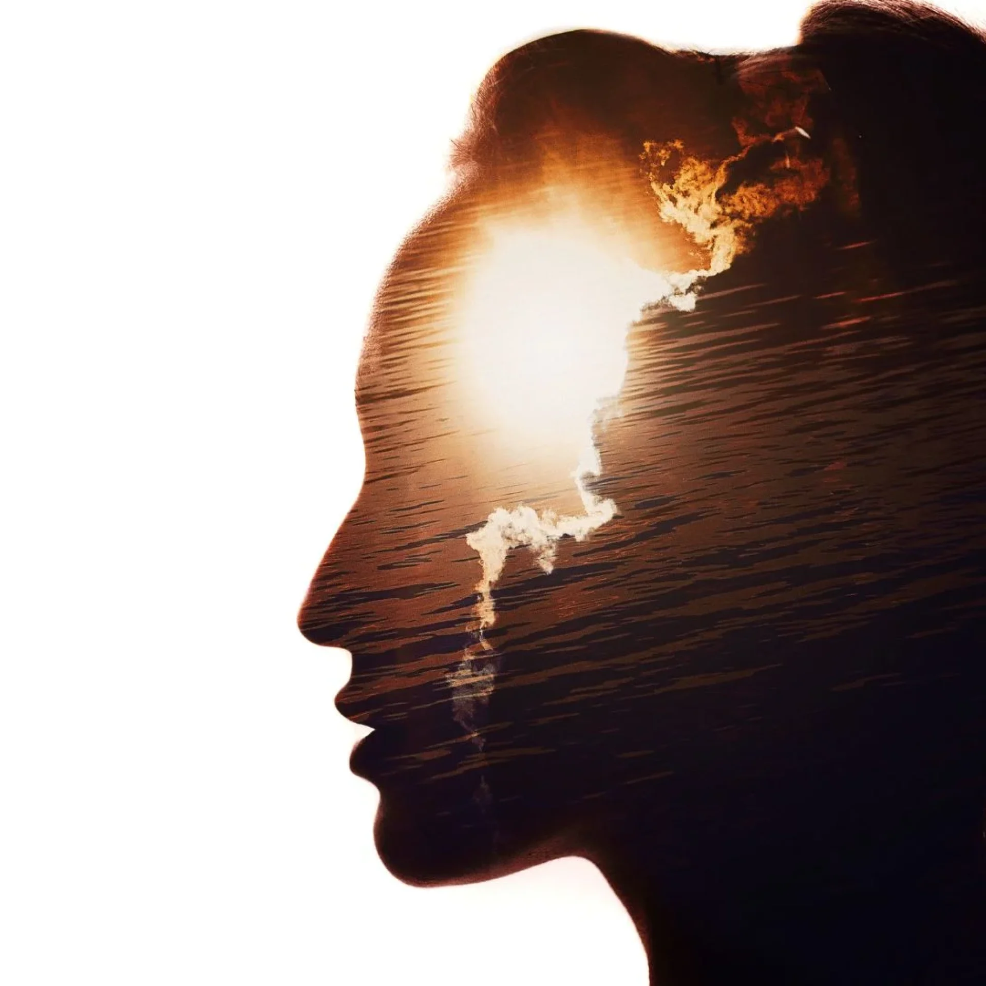 Emotional intelligence leadership and women leadership skills demonstrated through leadership development and empathetic connection in a professional setting