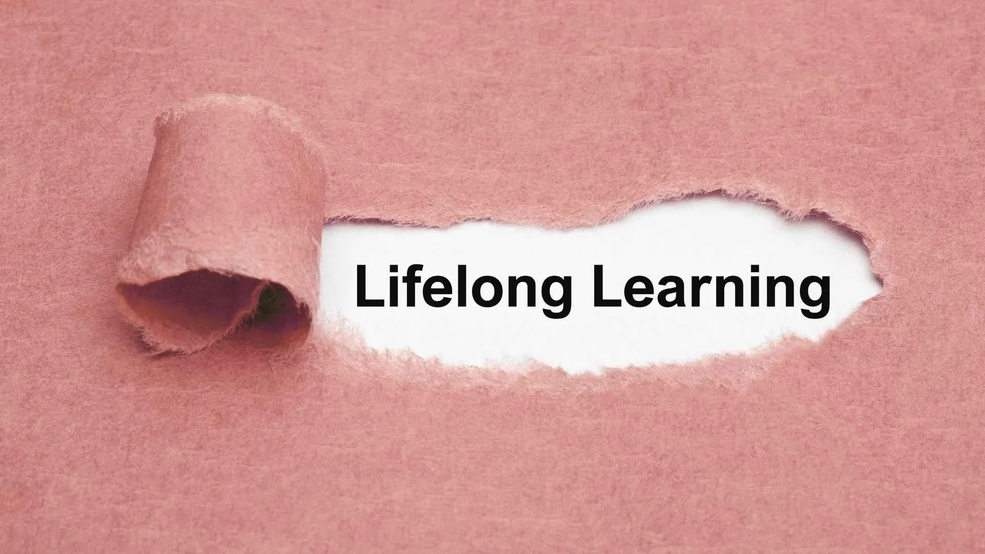The Power of Curiosity: Why Lifelong Learning Fuels Wisdom