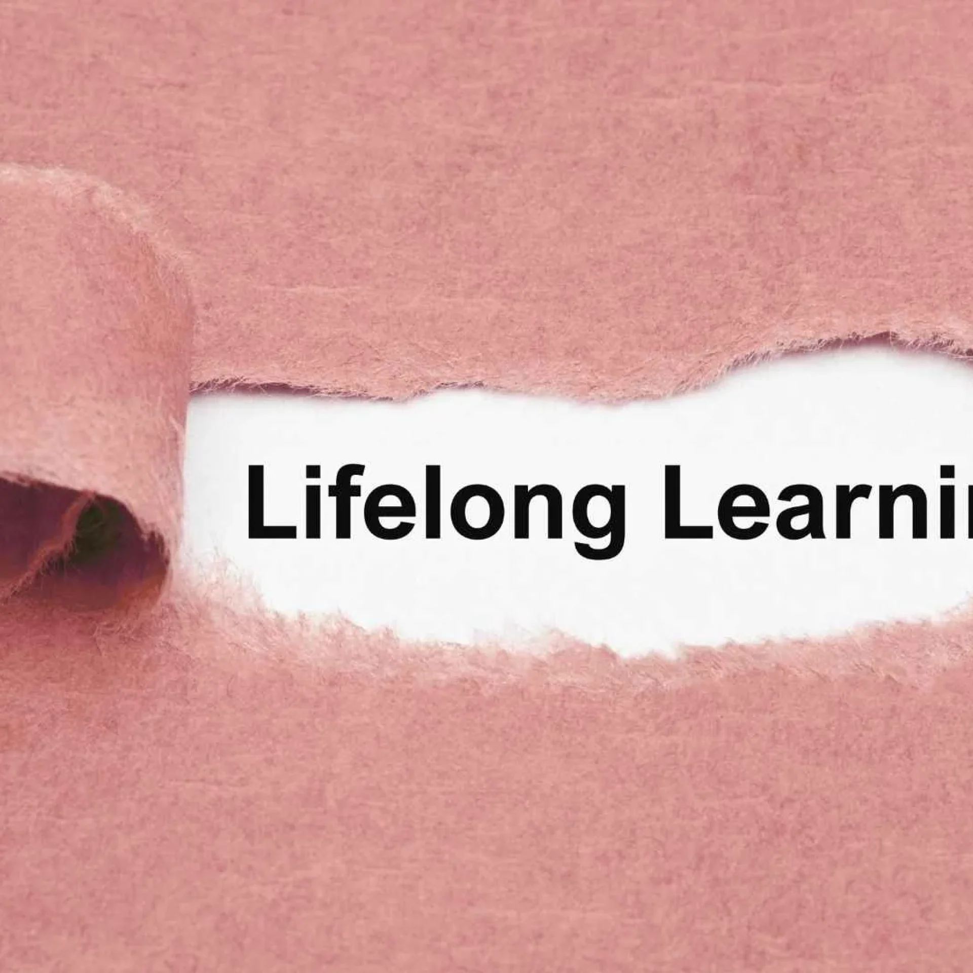 The Power of Curiosity: Why Lifelong Learning Fuels Wisdom