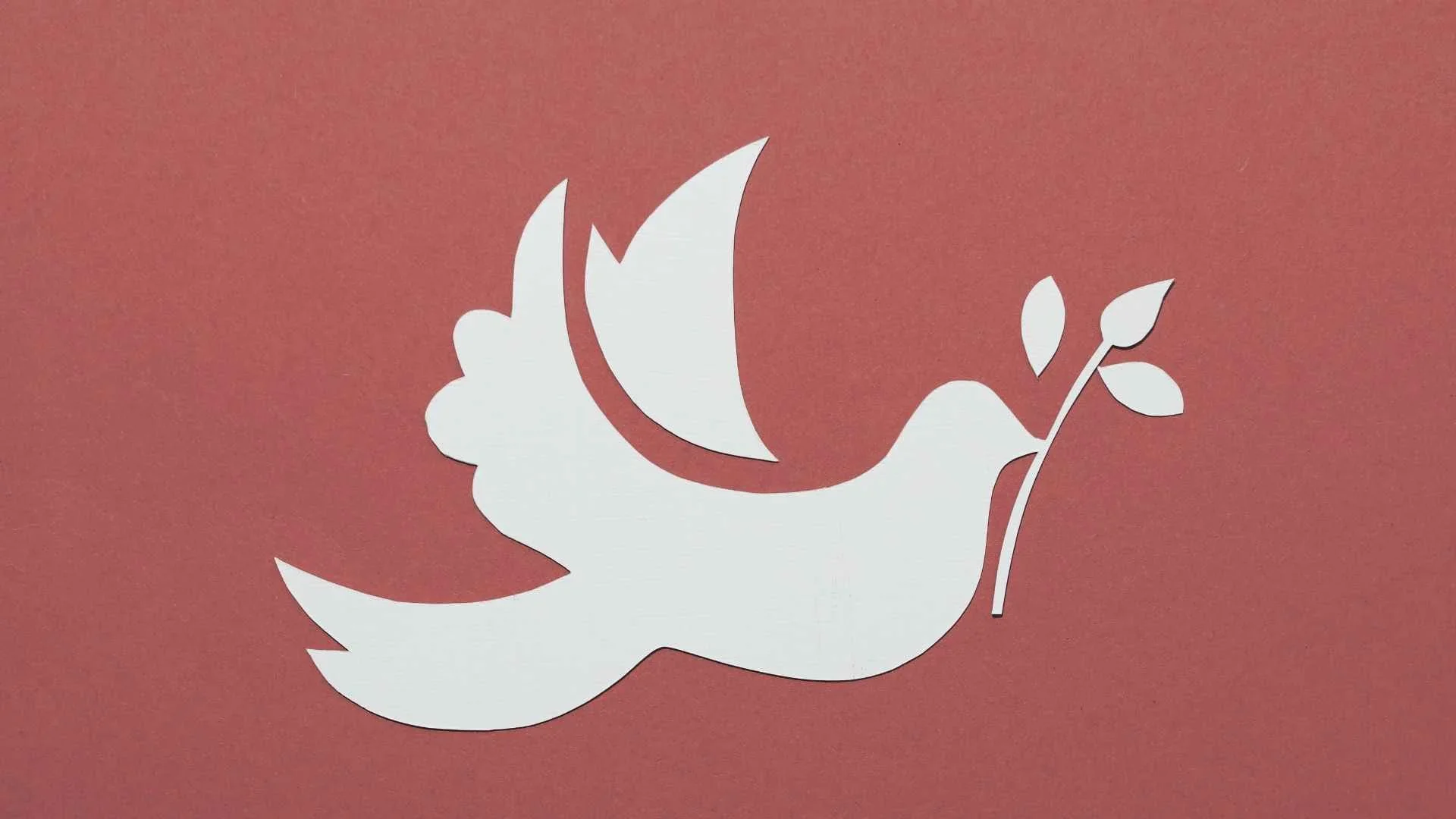 Empowering Tomorrow's Peace Builders: Young Leaders and Women as Catalysts for Global Harmony