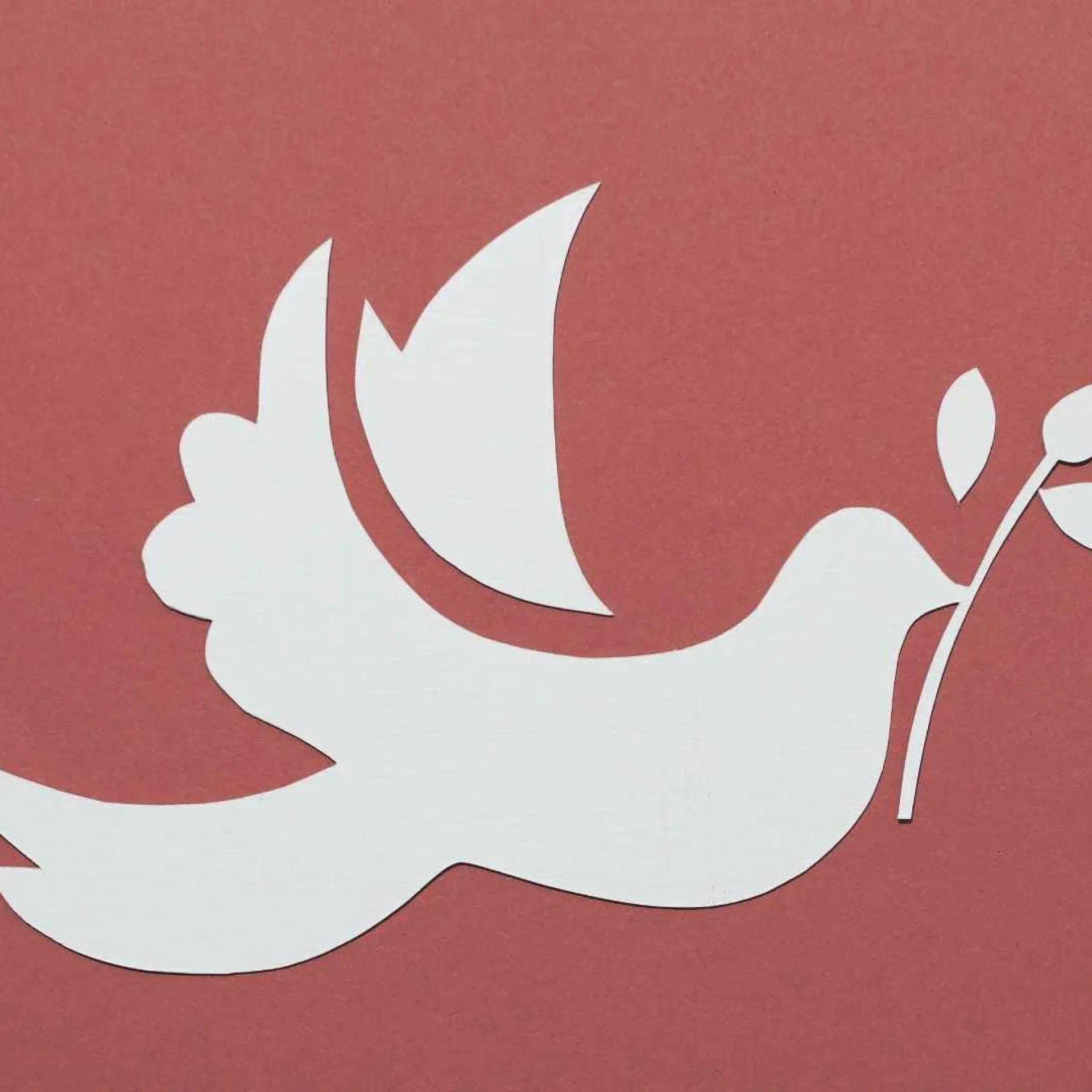 Empowering Tomorrow's Peace Builders: Young Leaders and Women as Catalysts for Global Harmony
